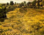 斯坦利 斯宾塞 : Buttercups in a Meadow